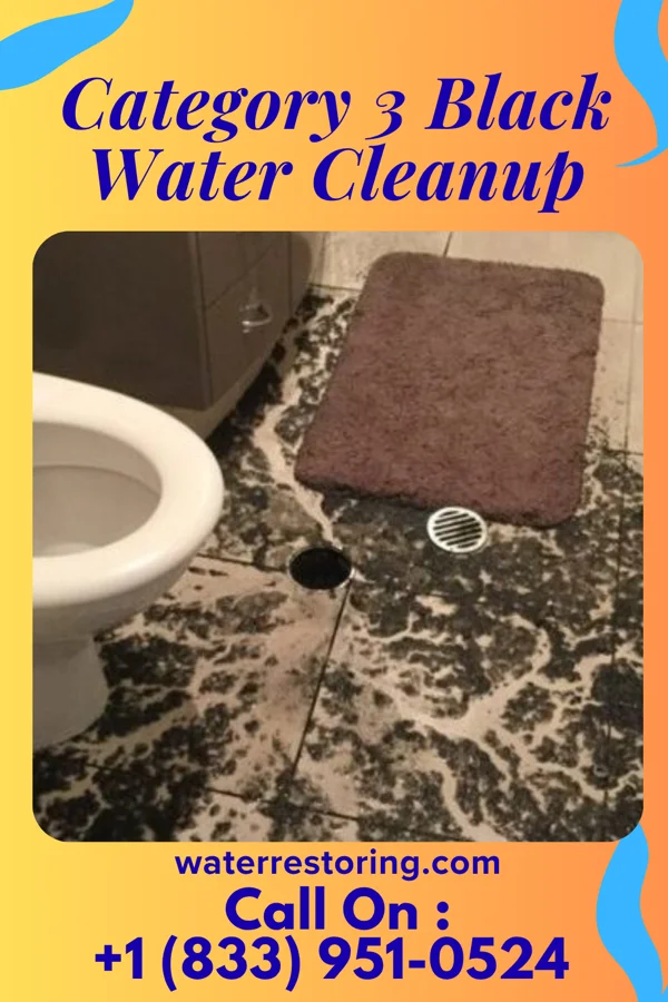 Category 3 Black Water Cleanup in Haviland, NY