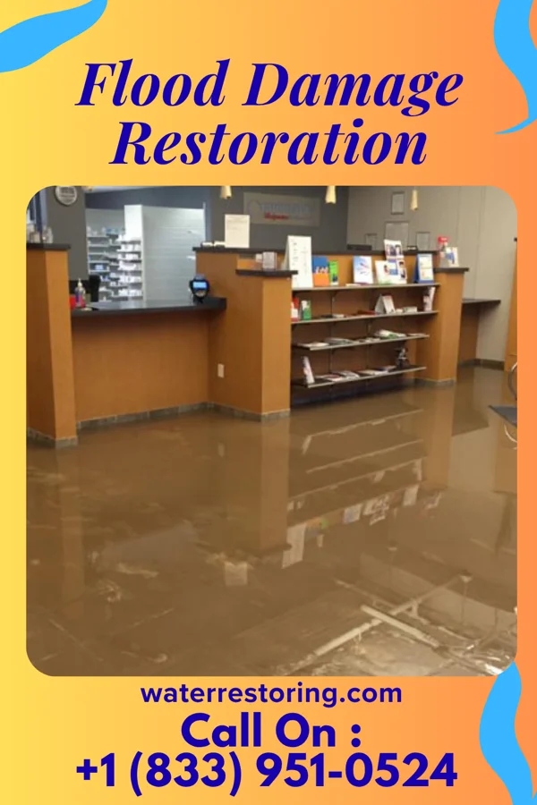 Flood Damage Restoration in Haviland, NY