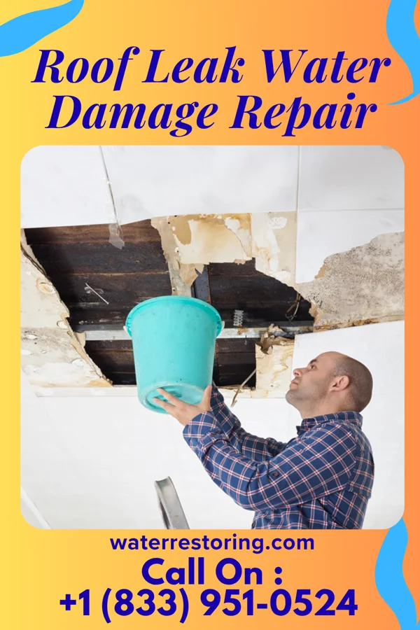 Roof Leak Water Damage Repair in Haviland, NY