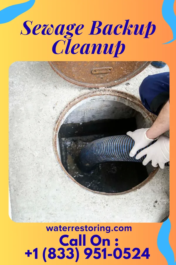 Sewage Backup Cleanup in Haviland, NY